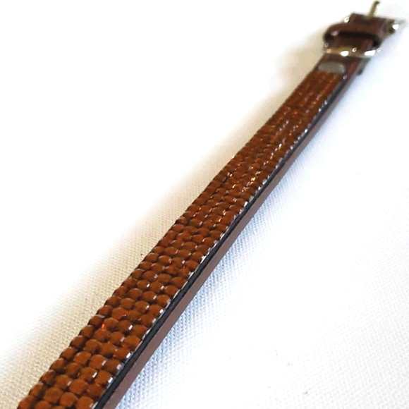 Dog Collar AKC Brown on Brown Bling - Picture 11 of 14